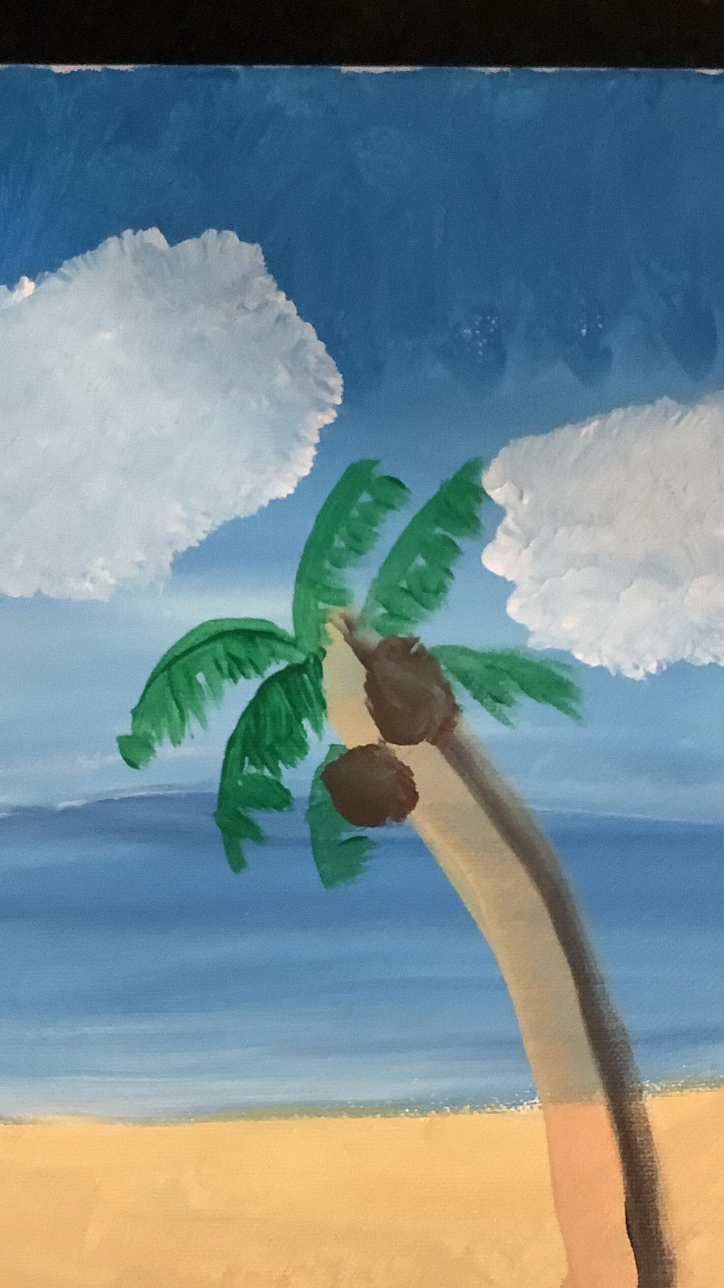 There’s coconuts on the palm tree.